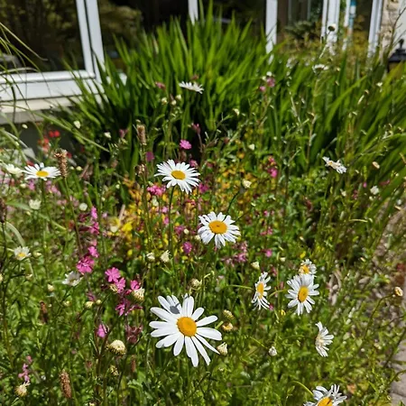 Applecroft House Bed & Breakfast Killarney