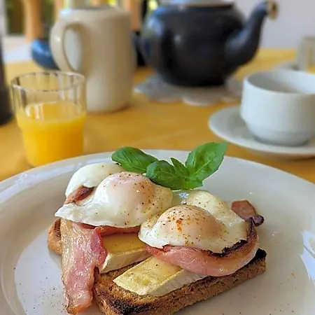 Couette-café Applecroft House Killarney