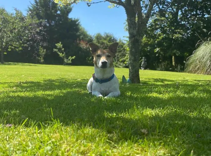 Applecroft House B&B 3*