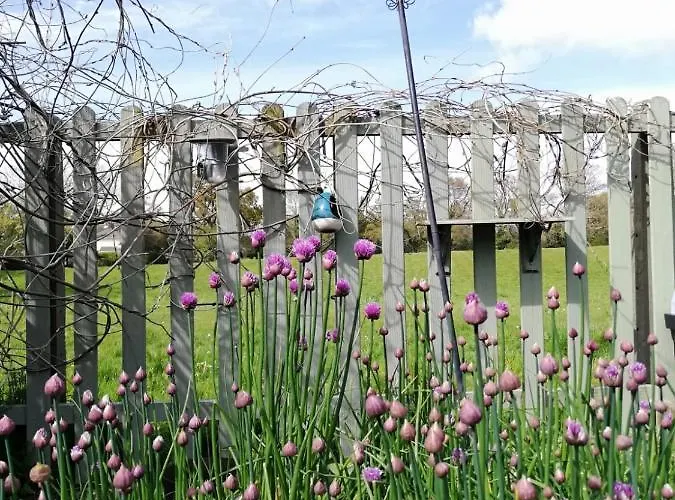 Applecroft House Bed and Breakfast 3*