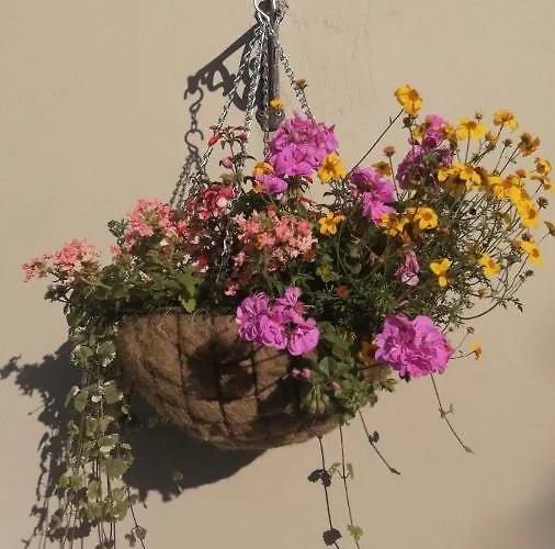 Applecroft House Bed and Breakfast Κιλάρνεϊ