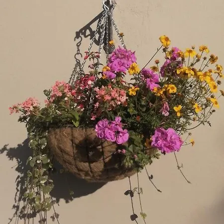 Applecroft House Bed & Breakfast Killarney